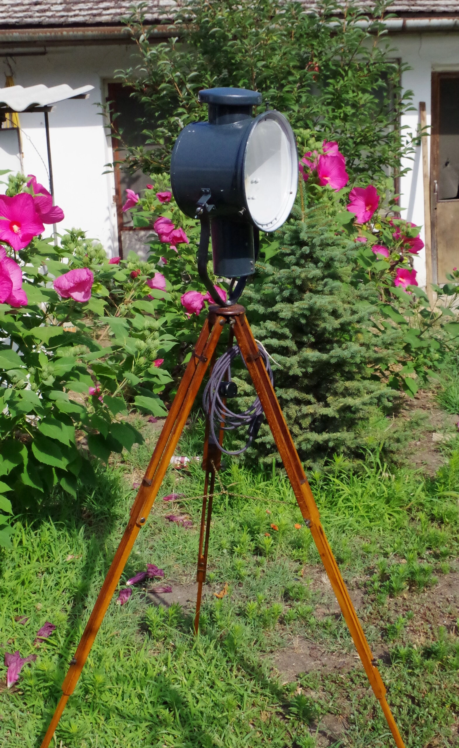 Imgp7712